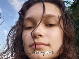 Fancycapell