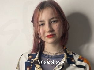 Felicebevis