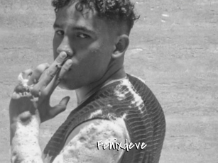 Fenixdeve