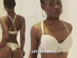 Gatubela_masc