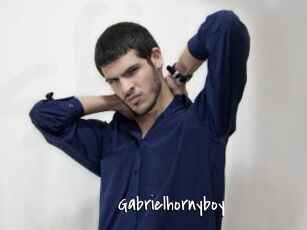 Gabrielhornyboy