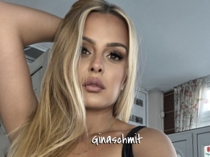 Ginaschmit