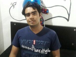 HairybigHo