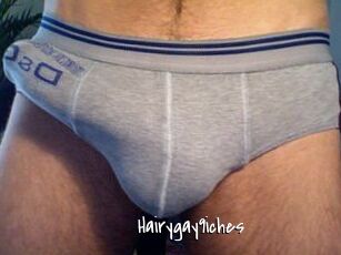 Hairygay9iches