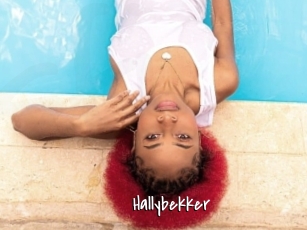 Hallybekker