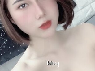 Halucy