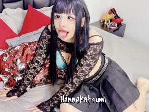 Hannakatsumi