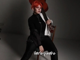 Harleysnake
