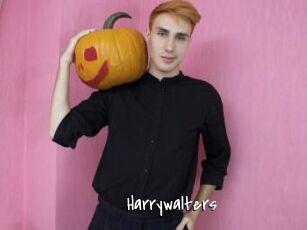 Harrywalters