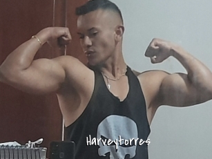 Harveytorres
