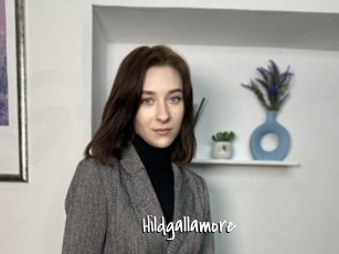 Hildgallamore