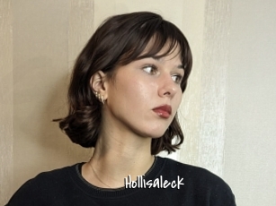 Hollisaleck