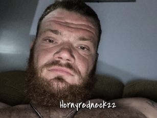 Hornyredneck22