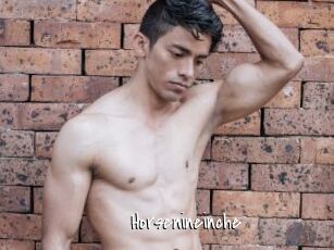 Horsenineinche