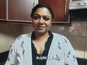 IndianDelia100