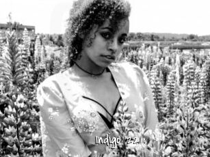 Indigo_22
