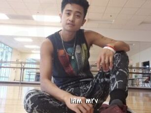 Iam_mrv