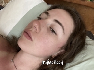 Indigoflood