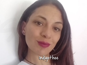 Indigothcc