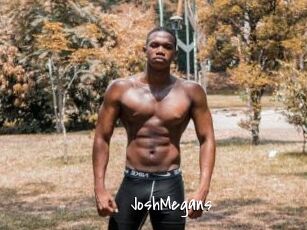 JoshMegans