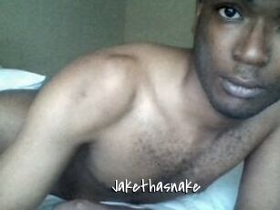Jake_tha_snake