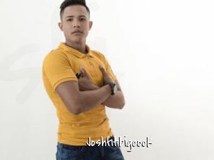 Joshfitbigcock