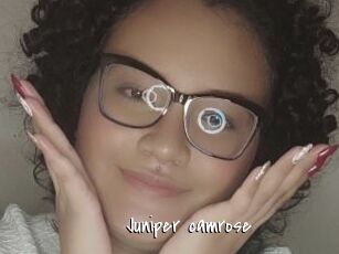Juniper_camrose
