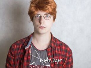 KevinTiger