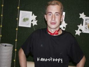 Kanesteepy
