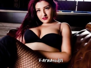 Karinasodi18