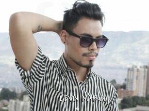 LEVIN_MARCO