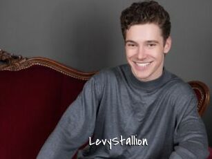 LevyStallion