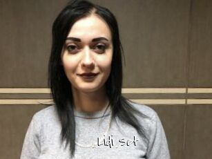 Lidi_Set