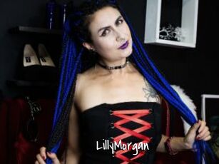 LillyMorgan