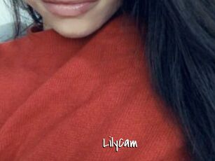 LilyCam