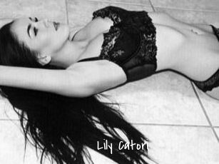 Lily_Catori