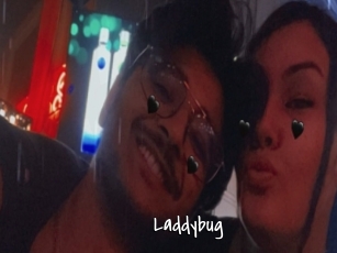 Laddybug