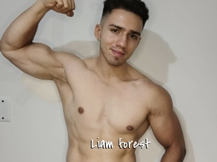 Liam_forest