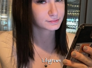 Lilygrows