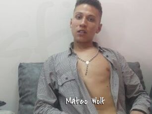 Mateo_Wolf