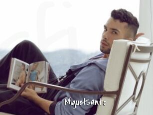MiguelSanto