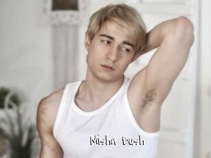 Misha_Bush