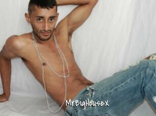 MrBigHouseX