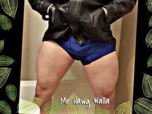 Mr_Hawg_Walla