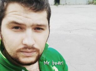 Mr_bear1