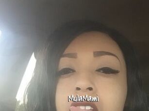 MulaMami