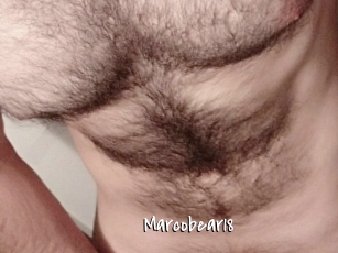 Marcobear18