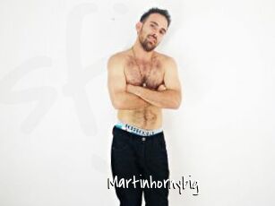 Martinhornybig