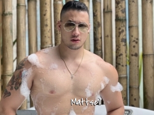 Mattseil