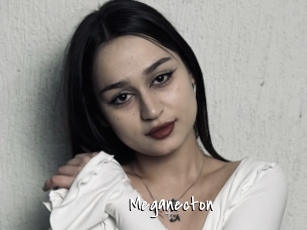 Meganecton
